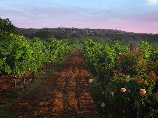 The Wine and Food Foundation of Texas Hill Country Wine Tour