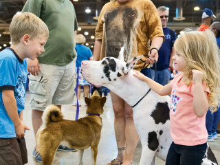 40th Houston World Series of Dog Shows