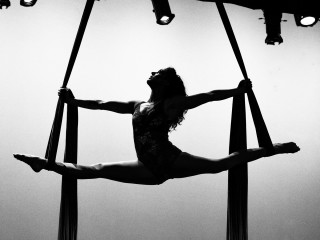 2017 Southern Fried Circus Fest Act Development Showcase