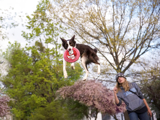 Bridgeland presents 9th Annual Howl-O-Ween Festival