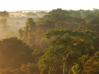 Rainforest Partnership presents 9th Annual Amazon in Austin: Socialize with Butterflies