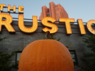 Picturesque Pumpkin Patch Party
