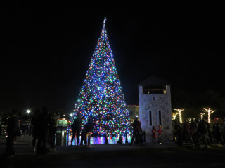 Holiday in the Plaza