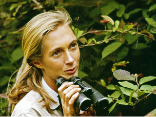 <i>Jane</i>