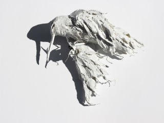 Rachel Gardner and David Solomon: "Fall to the Wild" opening reception