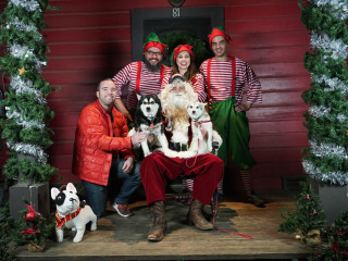 Holiday-Themed Mega Mutt Monday