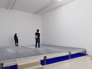 Nasher Sculpture Center presents Sightings: Anne Le Troter
