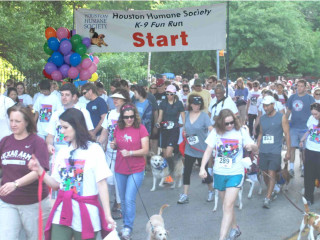 37th Annual K-9 Fun Run & Walk