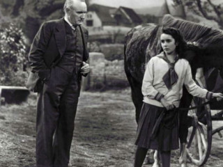 National Velvet