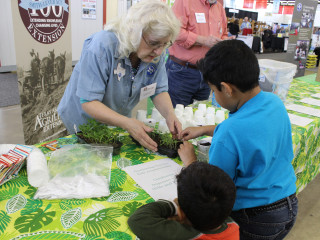 2017 Dallas - Texas Home & Garden Show