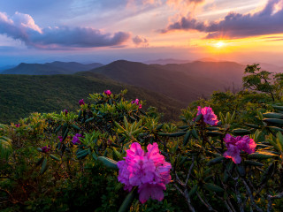 Appalachian Spring