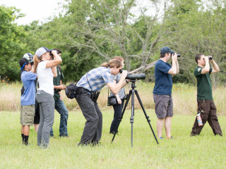 Greater Austin EcoBlitz