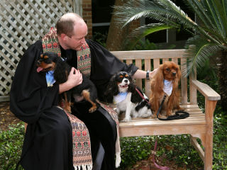 Blessing of the Animals