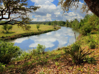 Dripping Springs