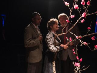 The Cherry Orchard