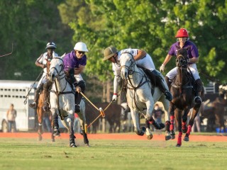 Sunday Polo