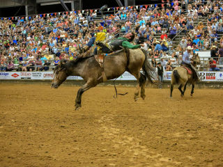 Pasadena Livestock Show & Rodeo