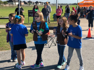Pearland Veterans Day Walk