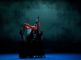 Fall For Dance