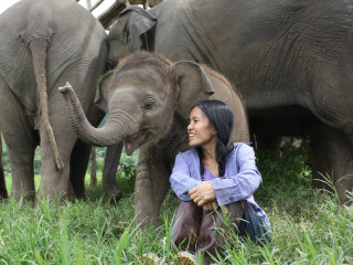 <i>Love & Bananas: An Elephant Story</i>