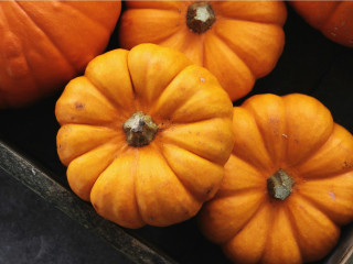 Pumpkin Patch Pop-Up