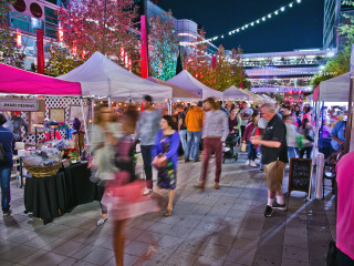 Winter Flea by Night