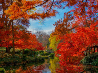 Fort Worth Botanic Garden Presents Japanese Fall Festival Event