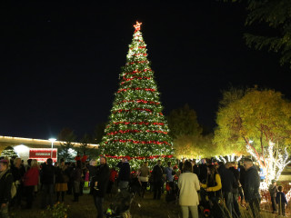 Allen Parks and Recreation Department presents Holly Jolly Celebration