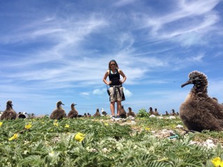 <i>Midway Atoll: The Effect of Plastic Pollution on Birds</i>