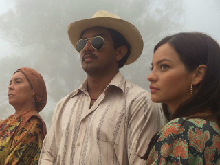 Birds of Passage