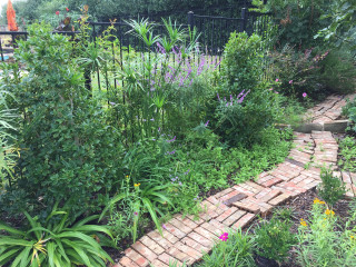Celina Garden Tour