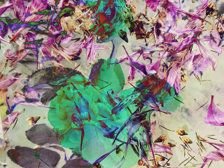 WAAS Gallery presents Conscious Design