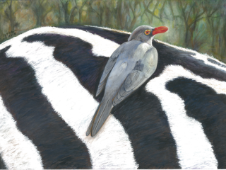 Spring Art Show & Sale