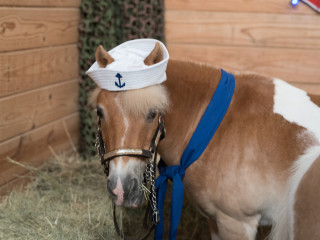 2019 Boots & Salutes