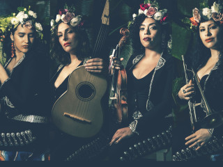 Flor de Toloache