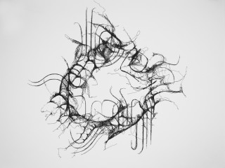 Fort Worth Community Arts Center presents Wayne Madsen: Line Ecologies