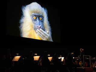 Dallas Symphony Orchestra And Perot Museum Of Nature And