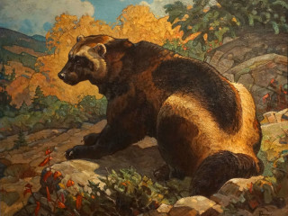 Wild West, Wildlife! Community Day
