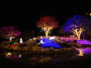Light Up the Night