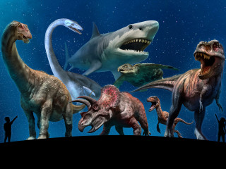 Ancient Oceans