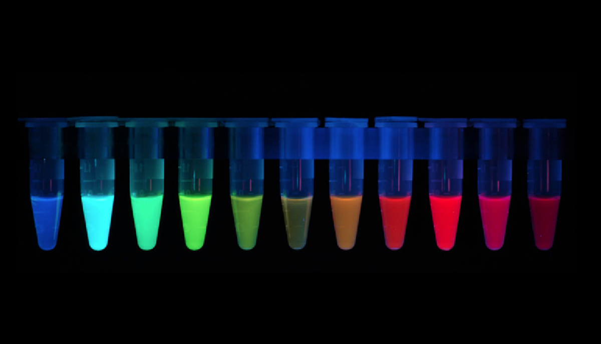 Brightwork Coresearch Presents Painting With Bacteria Event