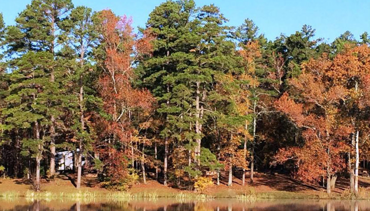 These 4 Worthy Weekend Getaways Are Within 2 Hours Of Dallas