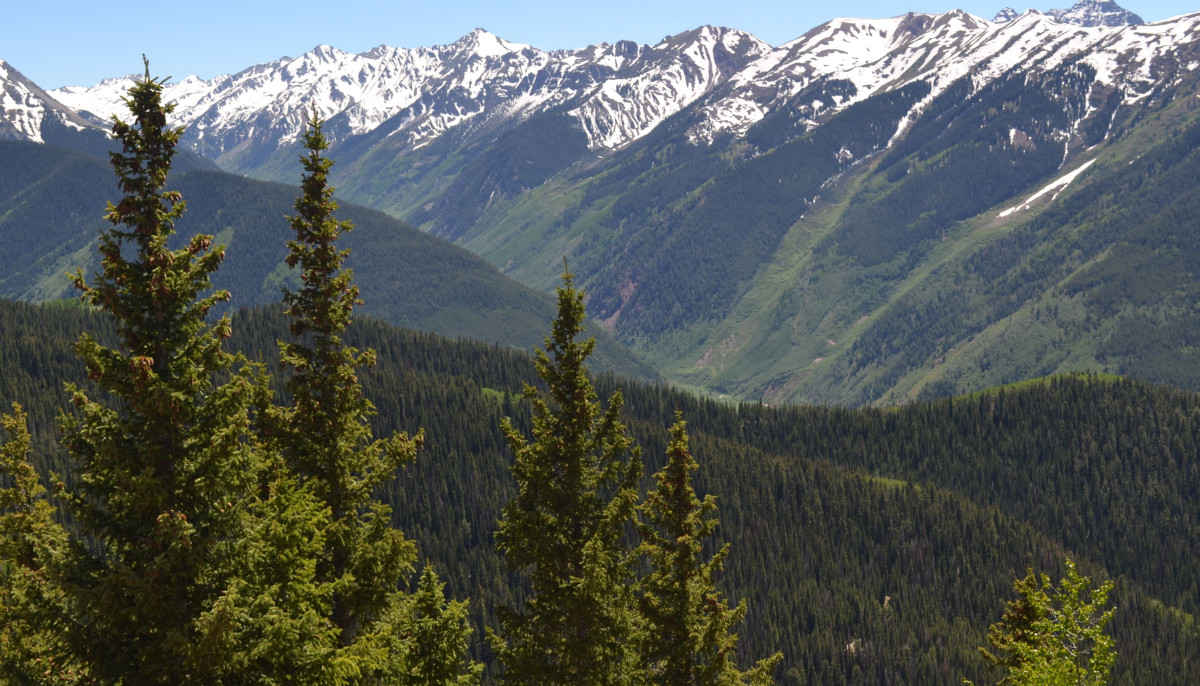 Postcard From Aspen Food Wine Classic Foodie Heaven Driverless