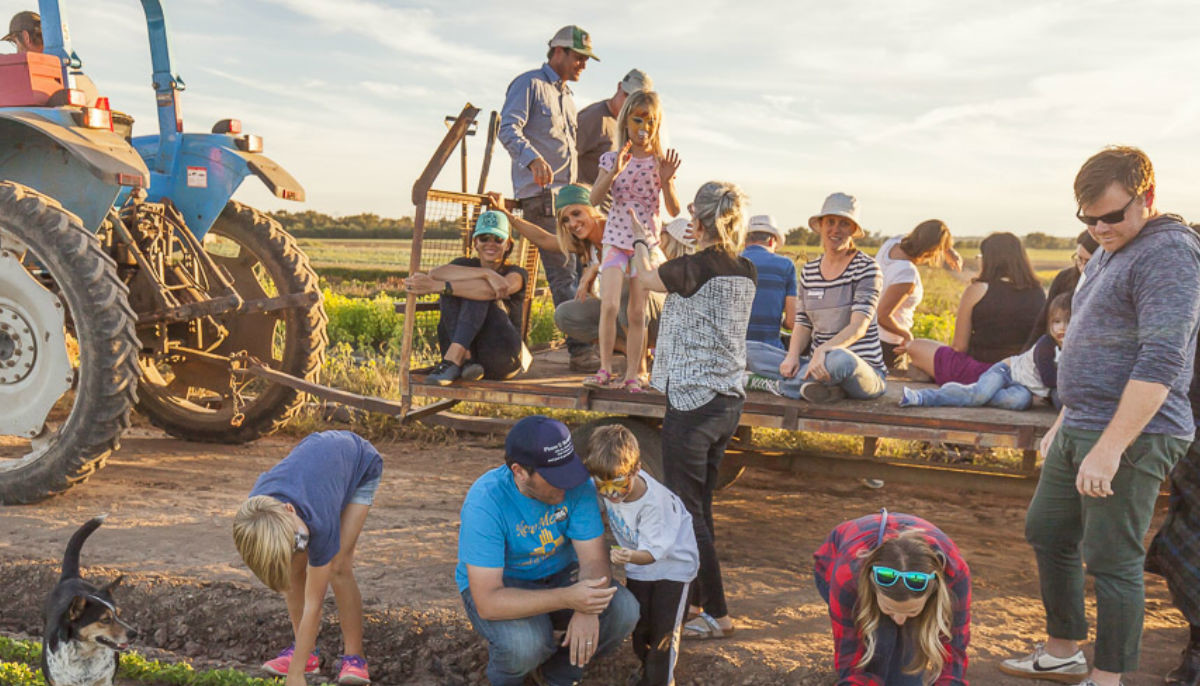Johnson S Backyard Garden Presents Fall Open House Event