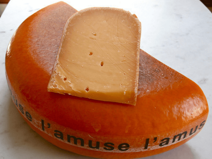 Scardello cheese