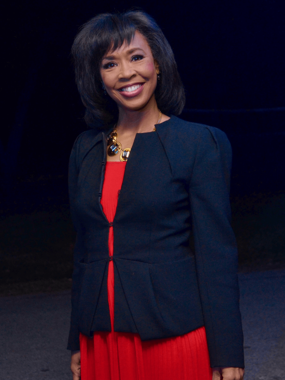 Houston, Susie Bean Gives fundraiser, Dec 2016, Gina Gaston