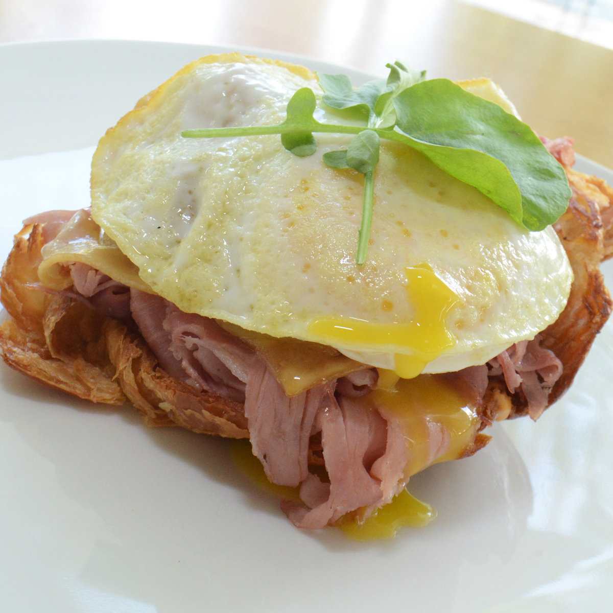 The Croque sandwich