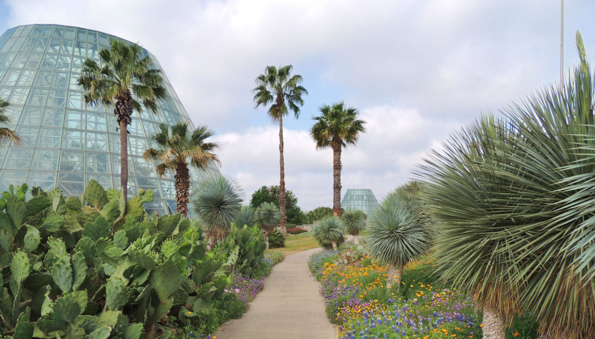 San Antonio Botanical Gardens Presents Moonlight In The Garden Of