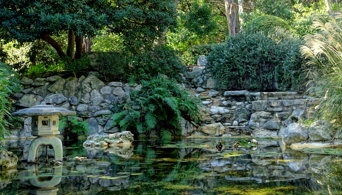 Uncover This Tranquil Japanese Garden Hidden In The Heart Of