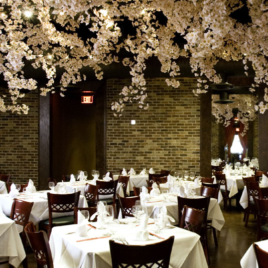 gigis asian bistro houston Gigis asian bistro houston